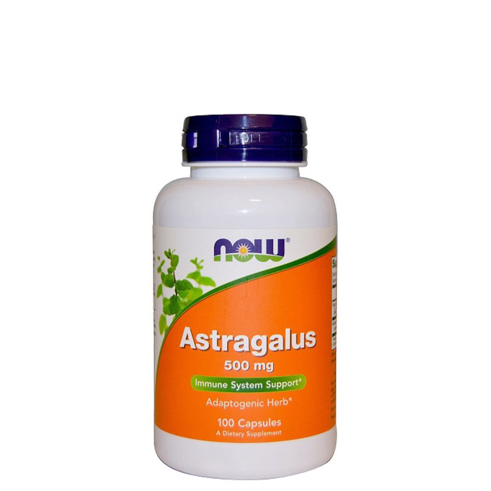 733739046055 1 Now Astragalus 500 mg, 100caps